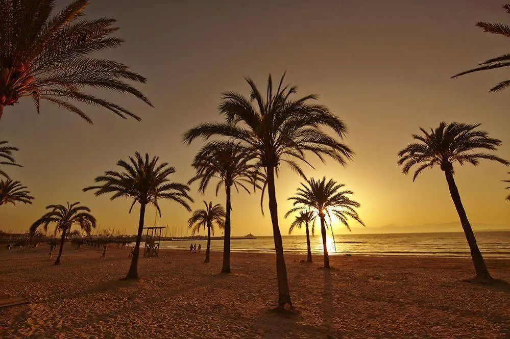 Mll Mediterranean Bay - Adults Only El Arenal  4*, El Arenal (Mallorca)